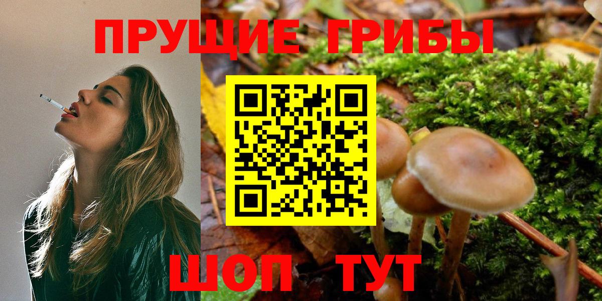 Псилоцибиновые грибы ЛСД Алейск