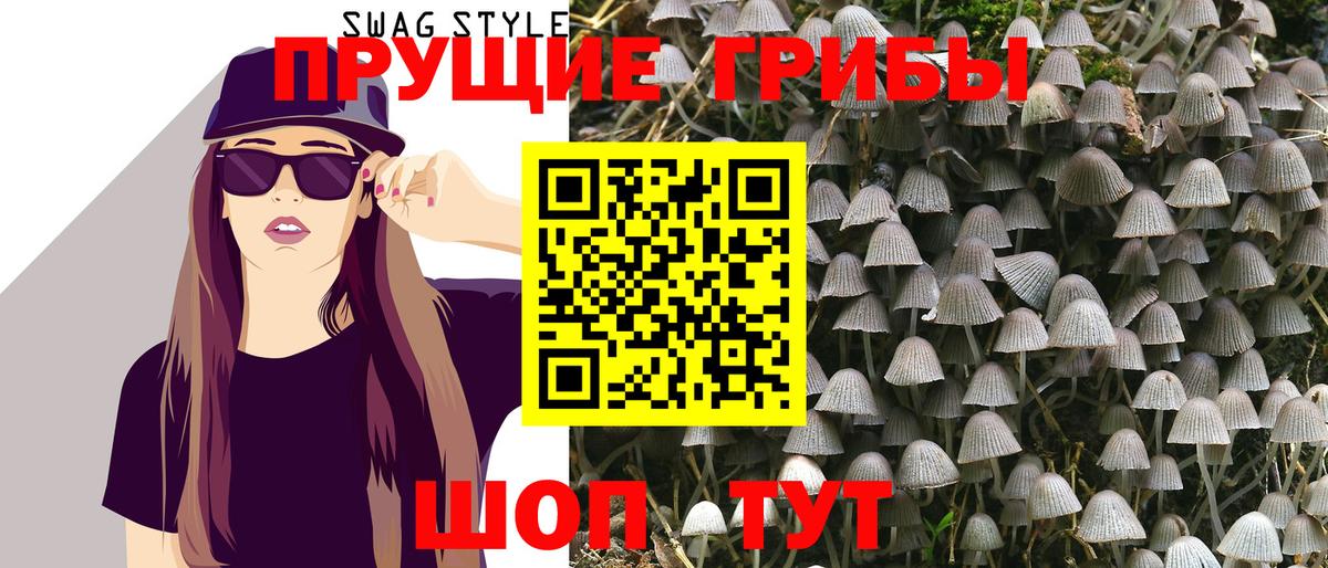 Галлюциногенные грибы Magic Shrooms  Вход с VPN  Алейск 